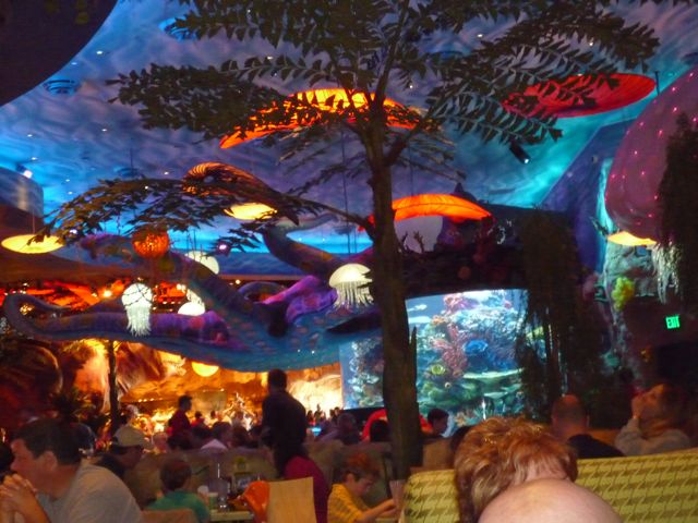 t rex cafe downtown disney t rex cafe downtown disney