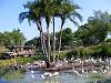 Click image for larger version. 

Name:	Florida2012 - safari bus_resize.JPG 
Views:	164 
Size:	191.8 KB 
ID:	316
