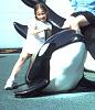 Click image for larger version. 

Name:	Molly+Shamu.jpg 
Views:	172 
Size:	107.7 KB 
ID:	928